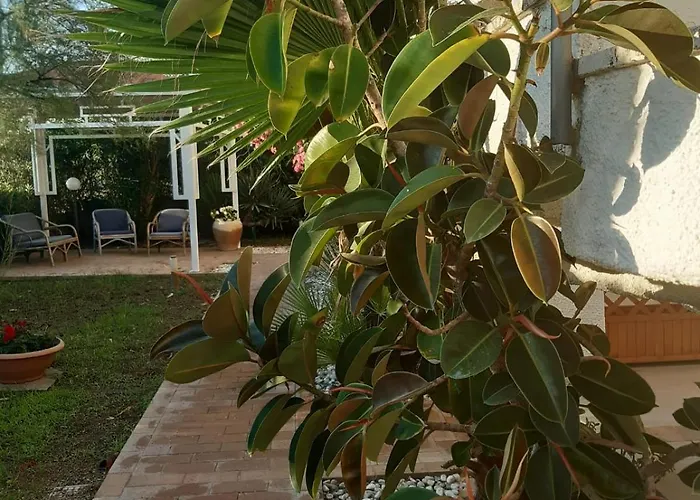 Terrazza Sul Mare Vacanze *