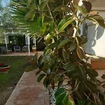 Terrazza Sul Mare Vacanze *